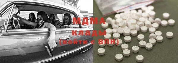 стаф Аркадак