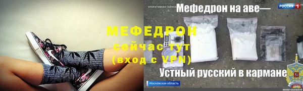 стаф Аркадак