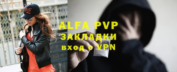 стаф Аркадак