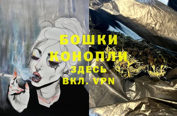стаф Аркадак