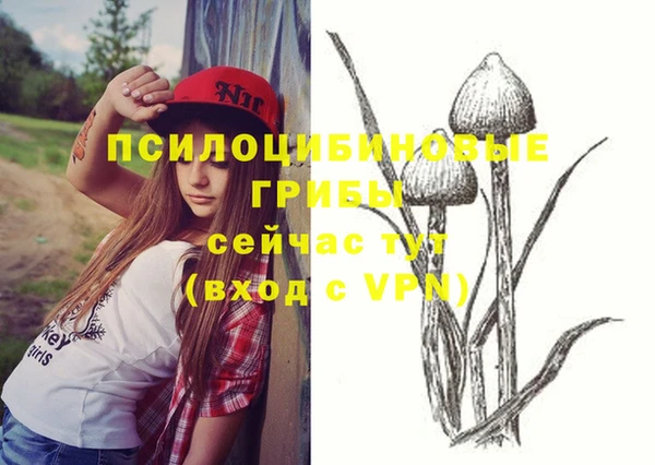 винт Арсеньев