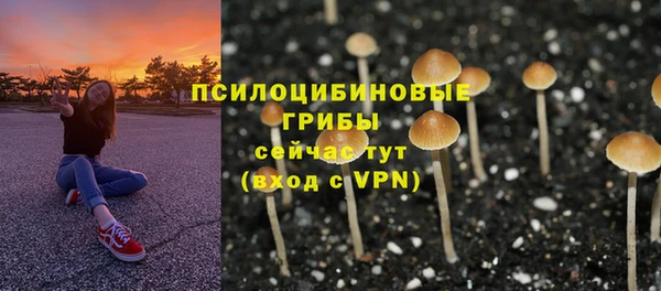 винт Арсеньев
