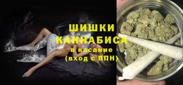 стаф Аркадак